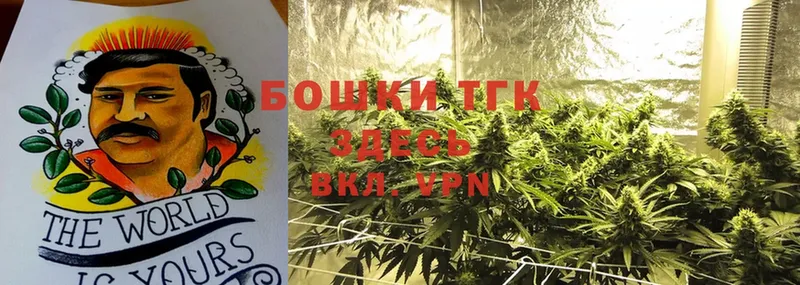 kraken как войти  Приволжск  Бошки марихуана THC 21%  сайты даркнета телеграм  купить закладку 